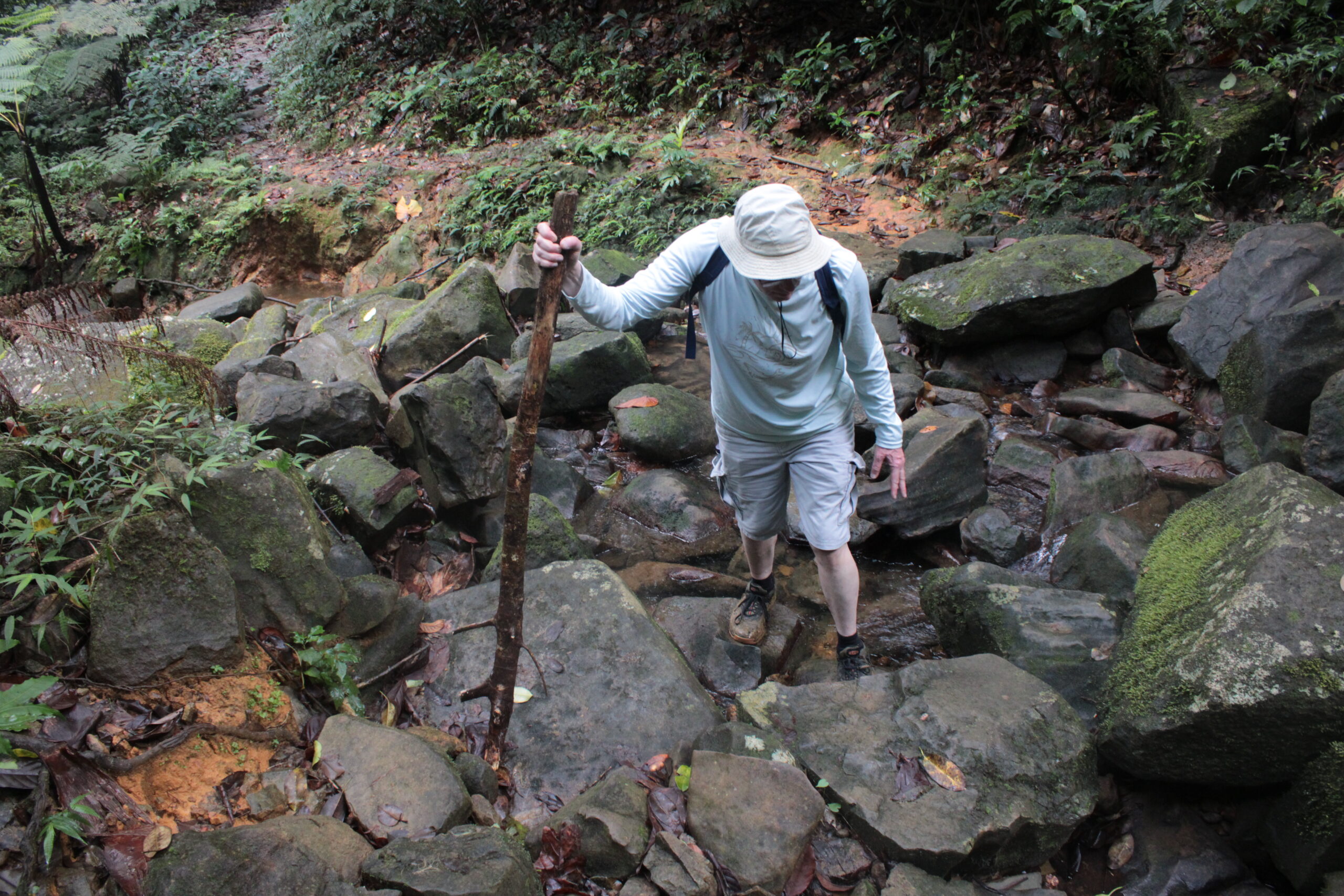 Puerto Rico’s Coquís and “El Yunque” Travel Part 2!